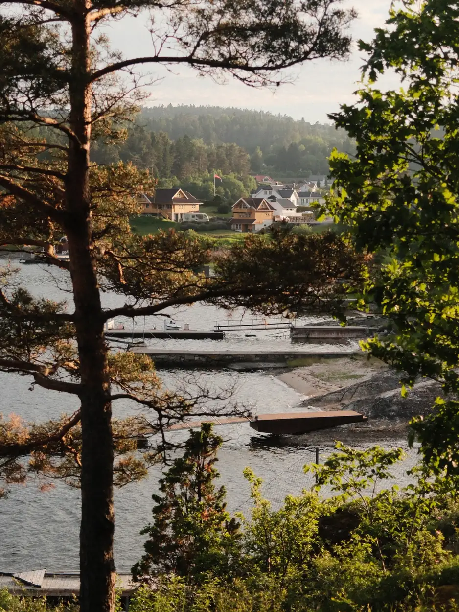 Coastal village below steep mountains in northern light